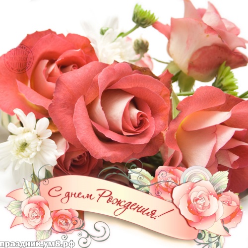 Найти ослепительную открытку с днем рождения женщине (с цветами)! Переслать в instagram!
