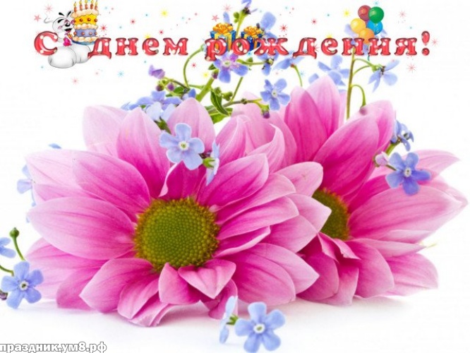 Найти желанную открытку с днём рождения женщине (цветы)! Поделиться в whatsApp!