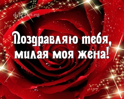 Скачать онлайн нужную картинку на день рождения женушке, любимой жене! Проза и стихи d.123ot.ru! Поделиться в whatsApp!