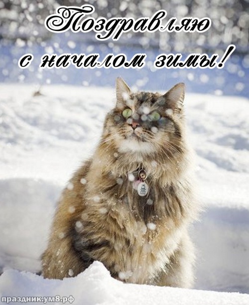 Скачать онлайн драгоценную открытку с первым днём зимы! С праздником, друзья мои! Переслать в instagram!