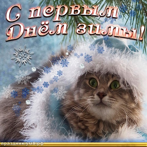 Найти лучшую открытку с первым днём зимы, 1 декабря! Красивые открытки! Переслать в viber!